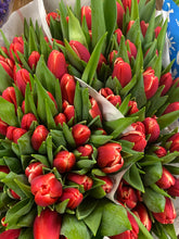 Kép betöltése a galériamegjelenítőbe: Tulipáncsokrok
