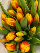 Kép betöltése a galériamegjelenítőbe: Tulipáncsokrok

